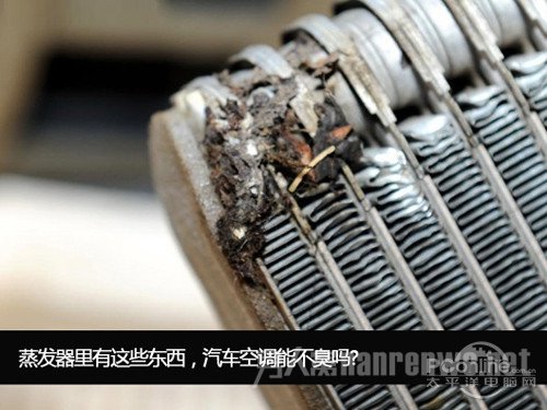 发箱清洗方法 发箱清洗方法