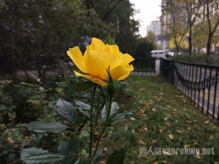 СNote 2