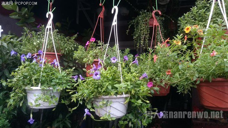 5.5英寸八核IP68级 AGM X1三防手机评测