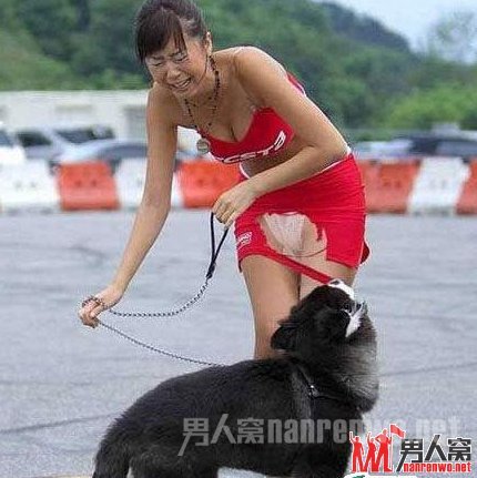 动物袭击人的搞笑瞬间