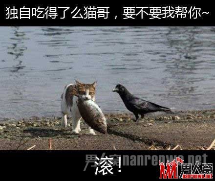 ЩֿɰĶ